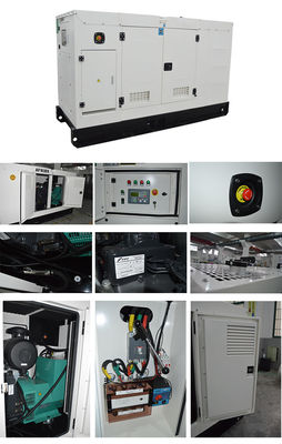 6.25 KVA ژنراتور ساکت با قطع کننده مدار دلیکسی و 8 ساعت زمان اجرا در بار کامل برای Whisper Quiet Power Supply